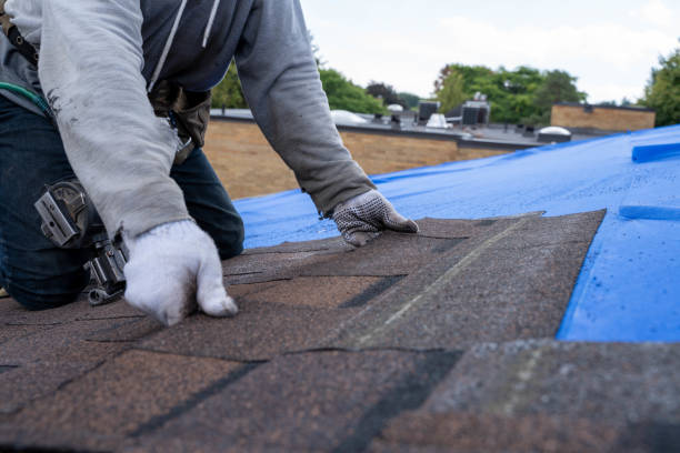 Best Flat Roof Repair Services  in Malvern, AR